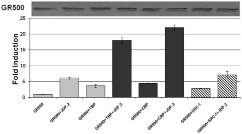 Figure 5