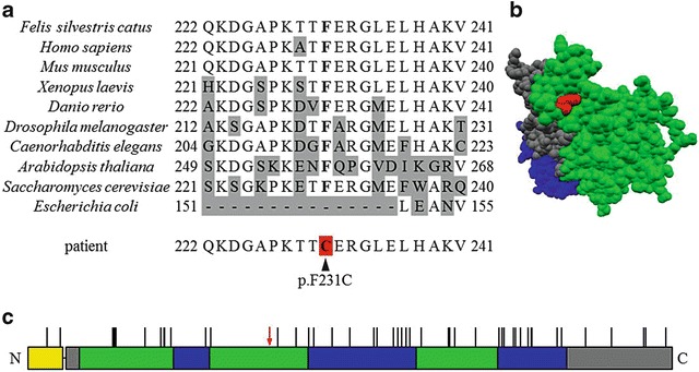 Fig. 5