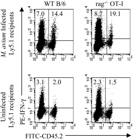 FIG. 3.