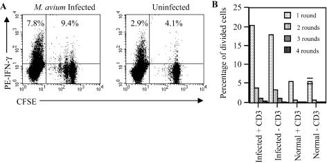 FIG. 7.