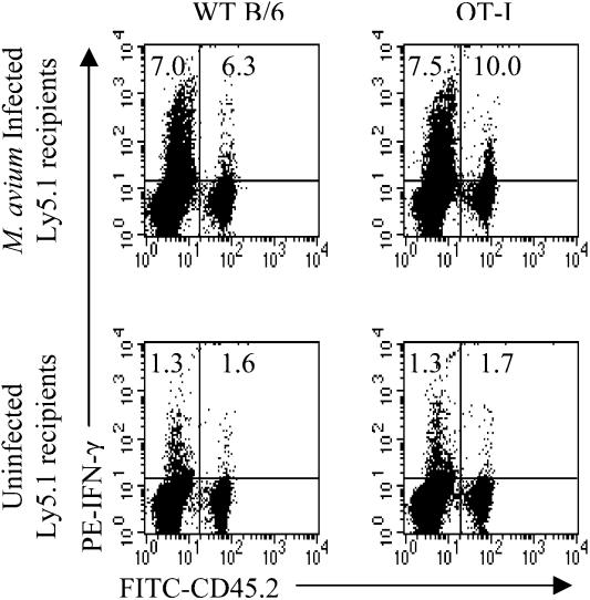 FIG. 8.