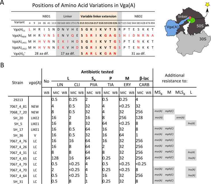 FIG 1