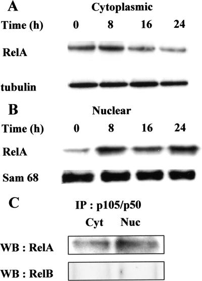 FIG. 5.