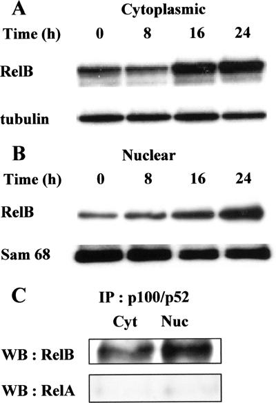 FIG. 7.