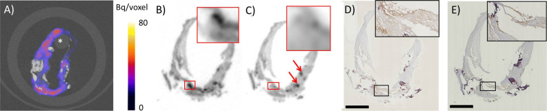 Fig. 3