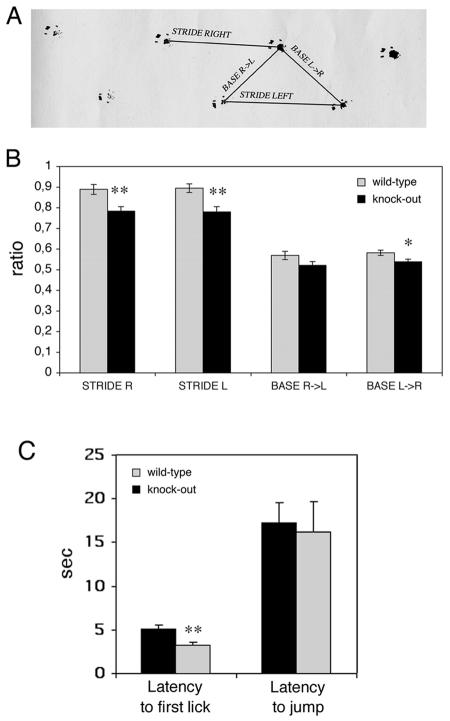 FIG. 10.