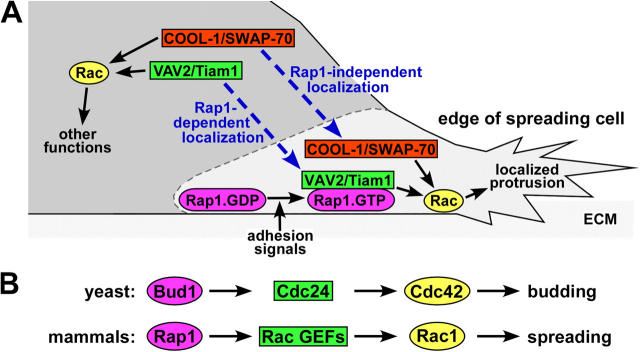 Figure 9.