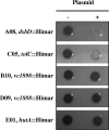 FIG. 6.