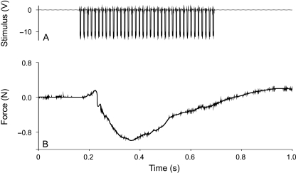 Fig. 2