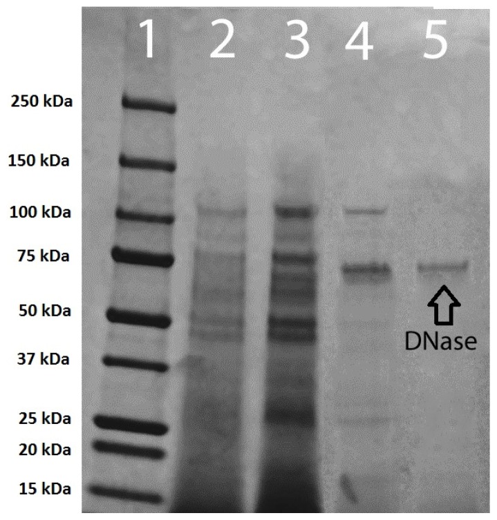 Figure 7.