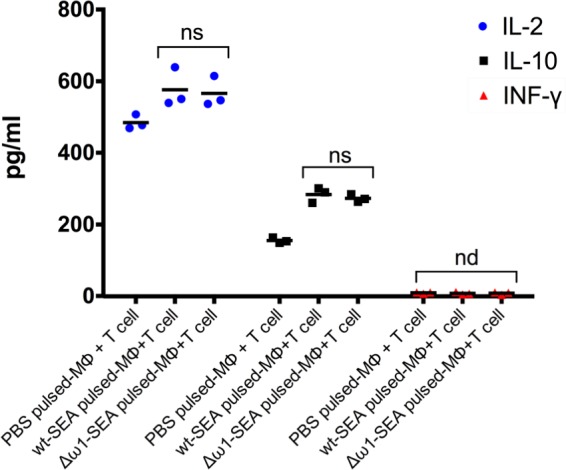 Figure 4—figure supplement 1.