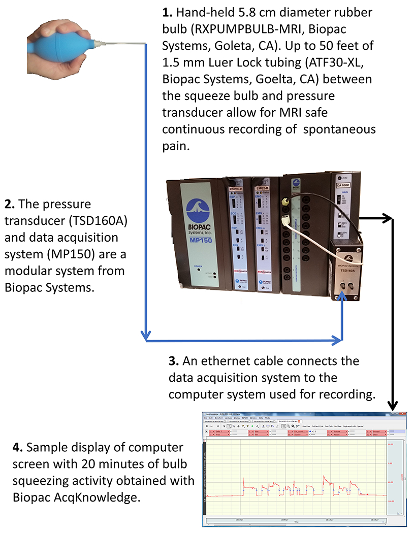 Figure 1: