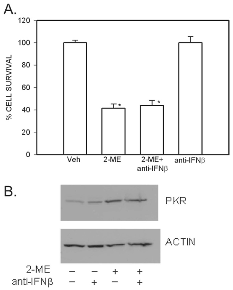 FIG. 5.