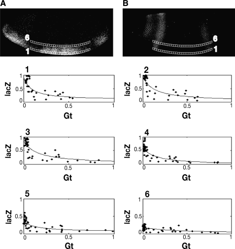 FIG. 5.