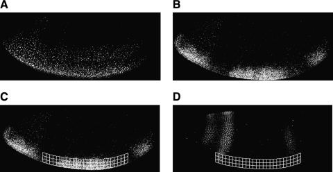 FIG. 4.