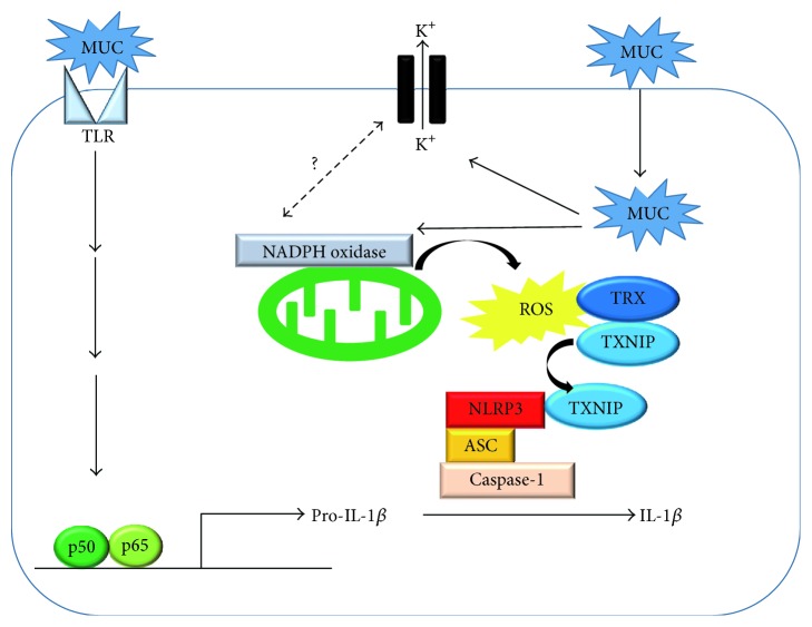 Figure 2