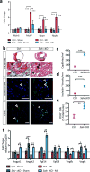 Extended Data Fig. 6