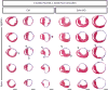 Extended Data Fig. 4