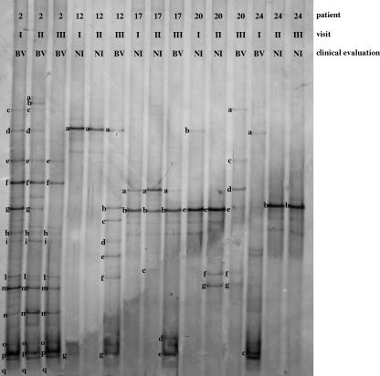 FIG. 2.