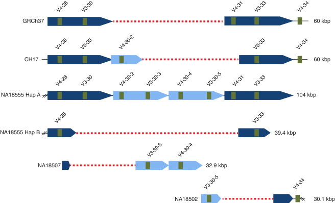 Figure 4