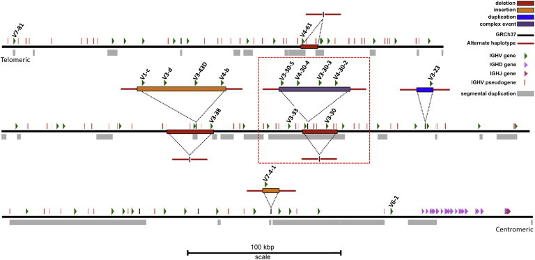 Figure 2