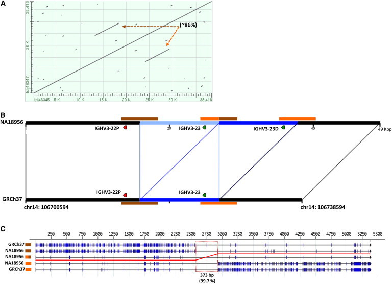 Figure 3