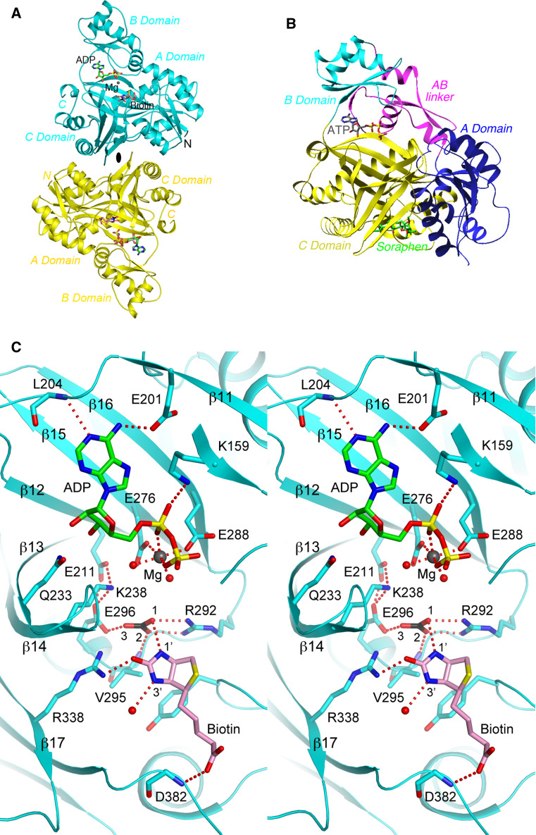 Fig. 4