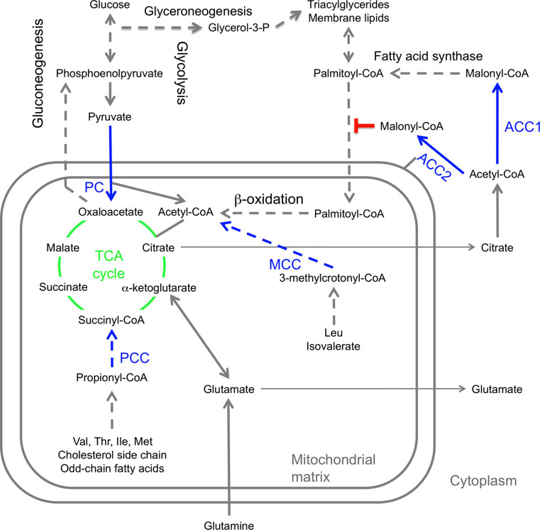 Fig. 3