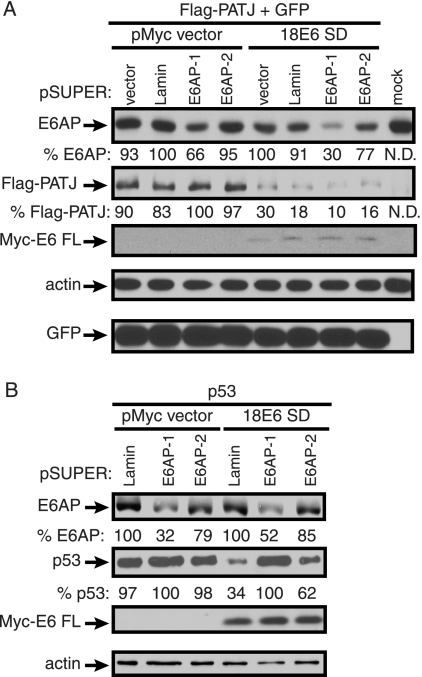 FIG. 7.