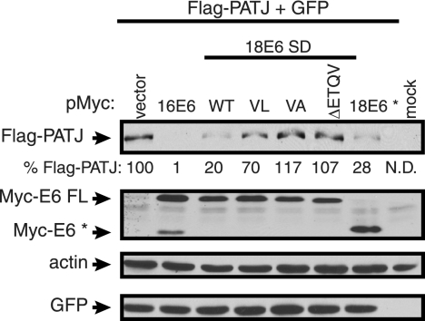 FIG. 5.