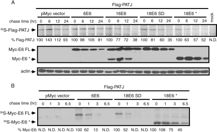 FIG. 6.