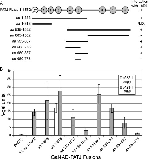 FIG. 1.