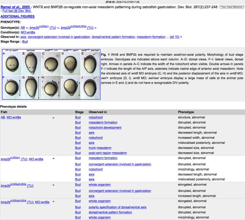 Figure 20