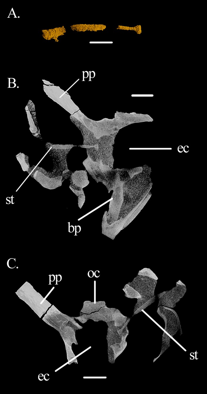 Figure 7