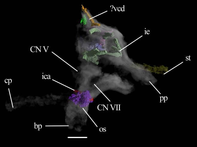 Figure 10