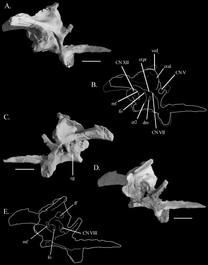 Figure 5