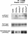 FIG. 6.