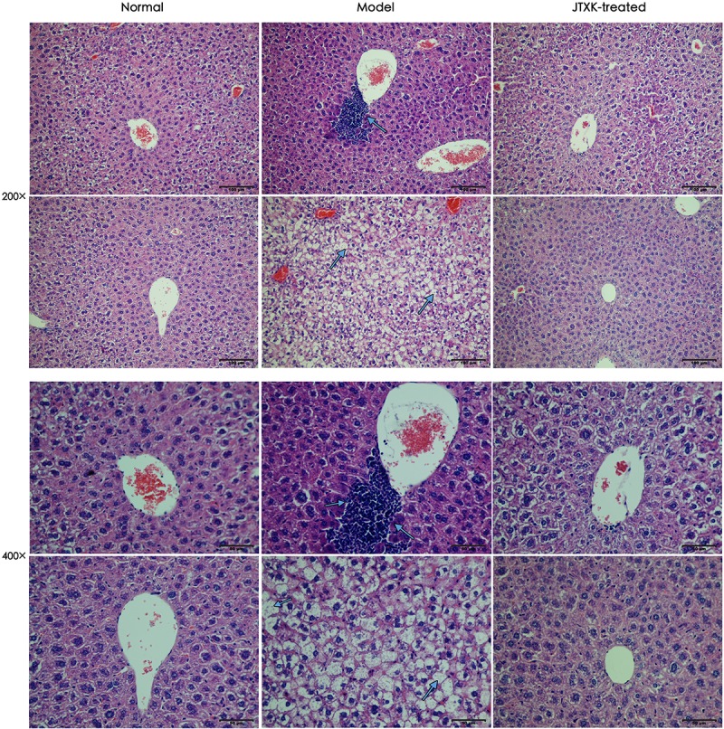 FIGURE 3