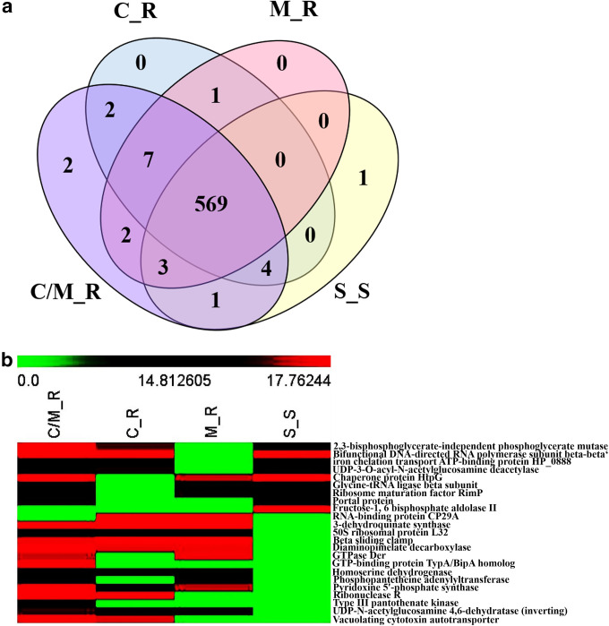 FIG 2