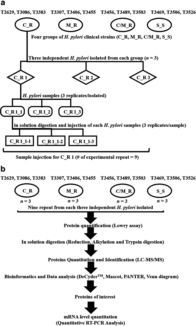 FIG 5