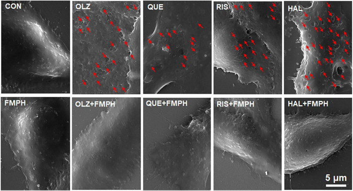 FIGURE 10