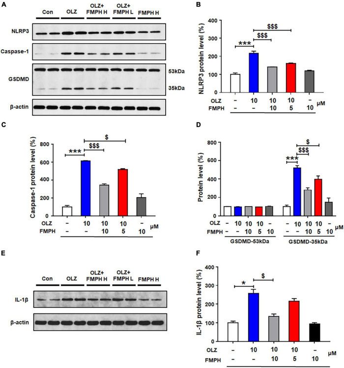 FIGURE 6