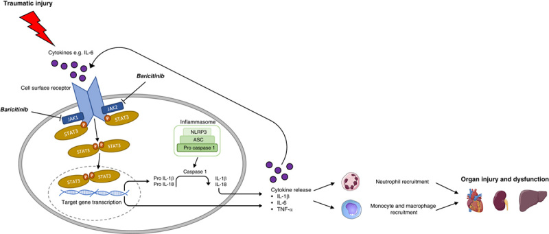 FIGURE 6