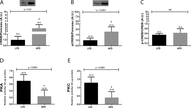 Fig. 4