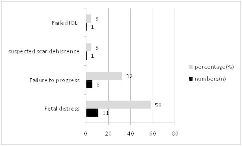 [Table/Fig-3]: