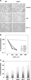 FIG. 4.