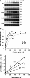 FIG. 7.