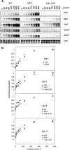 FIG. 8.