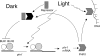 FIG. 10.
