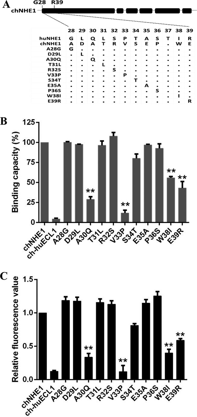 FIG 4